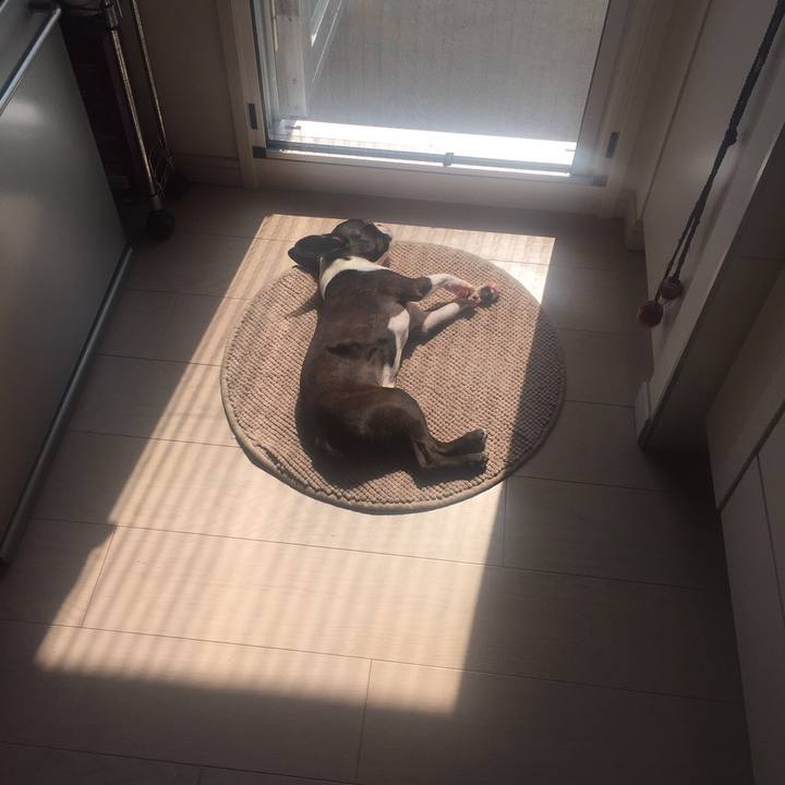 1b44463c da4a 463c 9b02 0c1b72daceb6