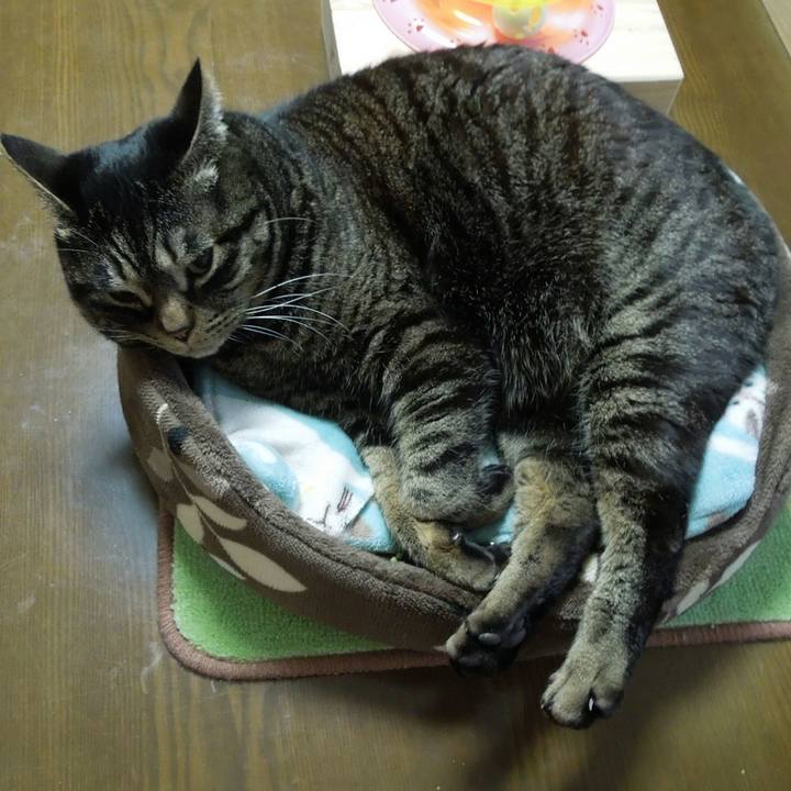 1b447145 10a4 45c5 85cb bf2ea55af241