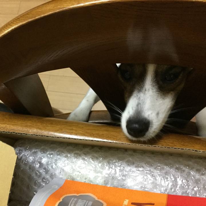 1b44c2b5 dbd7 47bc 9760 33cebcda74d2