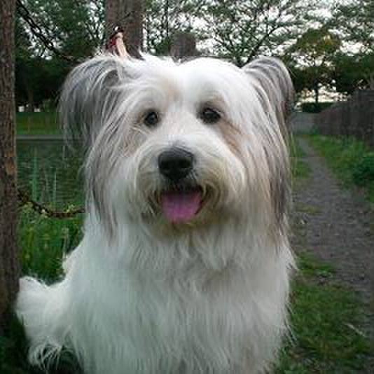 1b45e6e3 c133 417e 9887 d557bd13f526