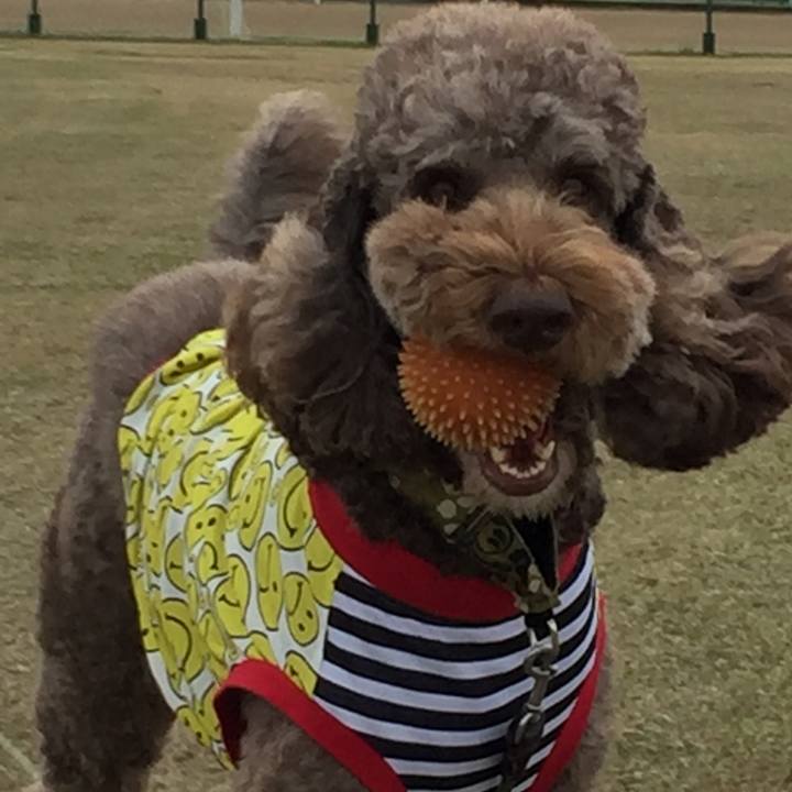 1b46ed2e 7ae3 4d09 80f2 0c95af421ba2