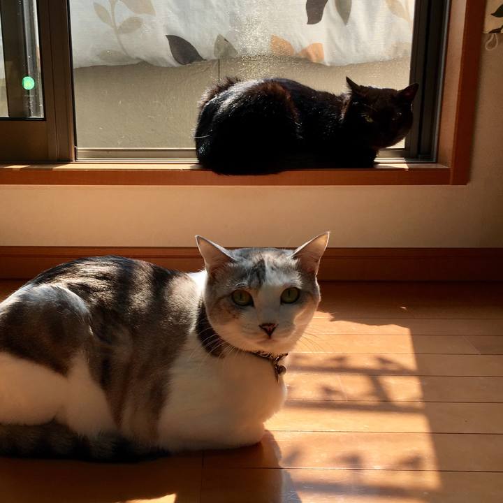 1b4843bf be34 46b5 b1db 24ae56608c37