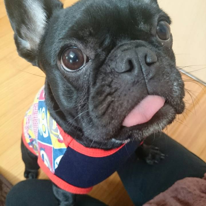 1b4890d6 25eb 4b2d b6cd ed821ecc0ad5