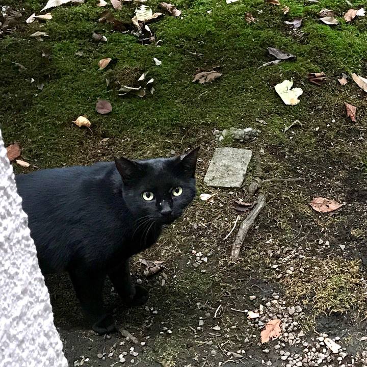 1b489bd7 b5dc 480b 88b3 9e96e9c52a66