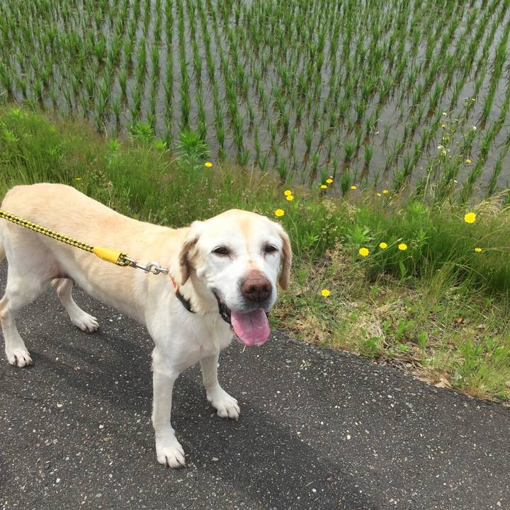 1b48eb1f 512a 452c b796 9ab5632962c9