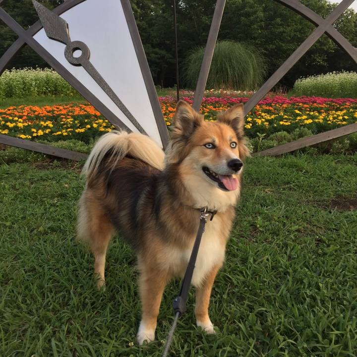 1b493dde f519 4569 9f94 68d95d460ef6