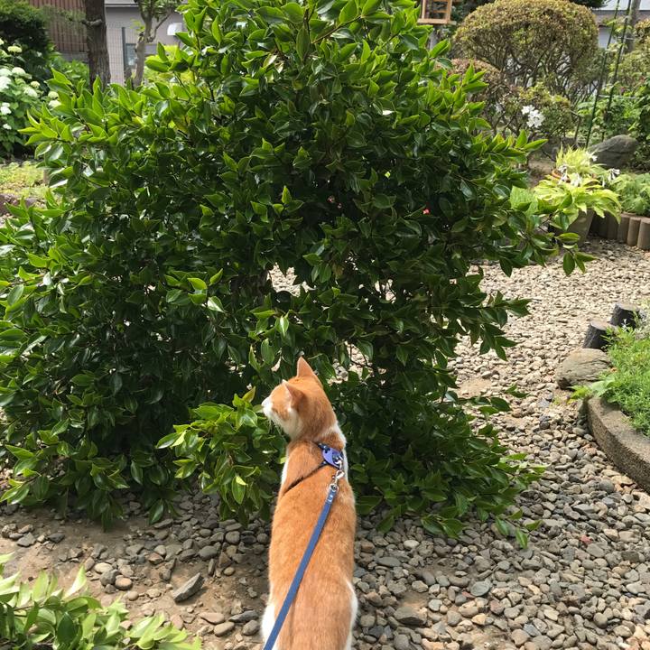 1b497a85 4cf2 41a8 b37d c598711abd8b