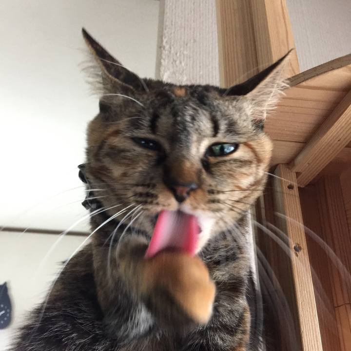 1b49da60 cbdb 4990 8e4a c3231fcfbfb0