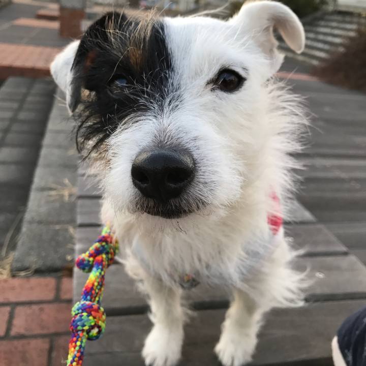 1b4a3014 2e0d 449d 9caa 3f08f25c5a61