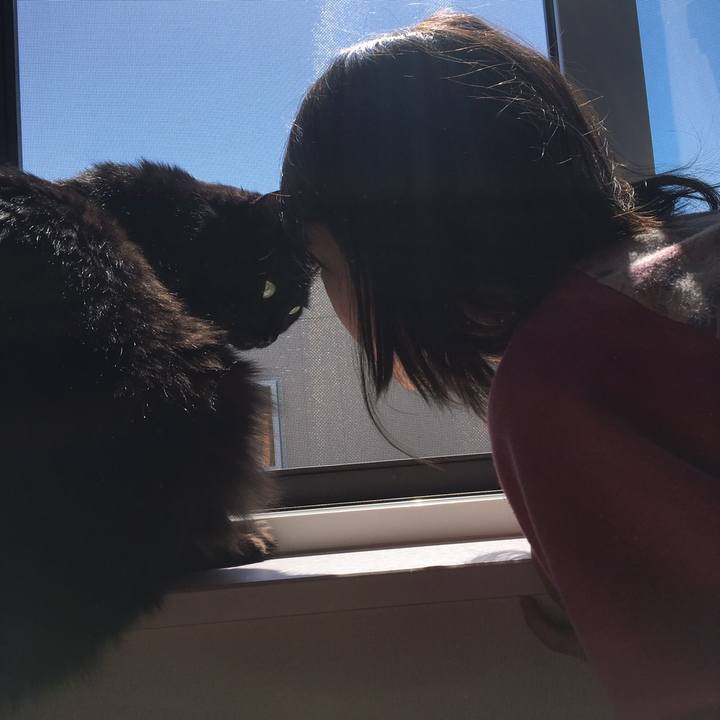 1b4ba2a0 b6b5 4d1e add0 3ff4eac96c55