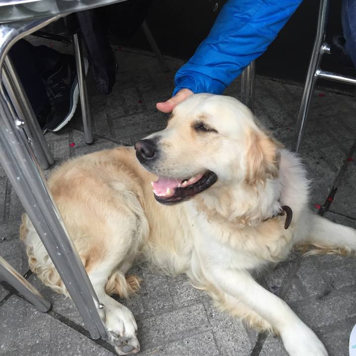 1b4c7456 b82d 45a6 896c 0d7d17c283e3