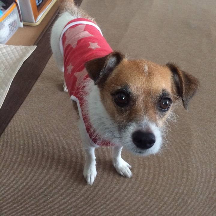 1b4e267d 1a27 47b6 9fde 900b3d23793f