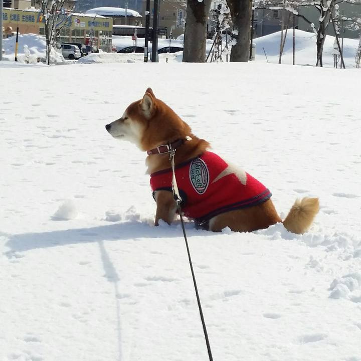 1b4e3300 b23f 488e 97d3 257261cdb3d3