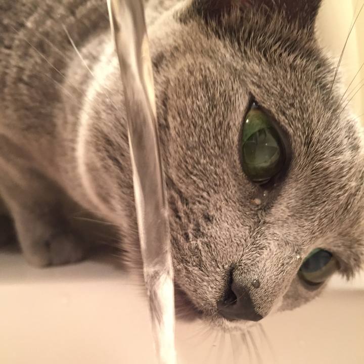 1b4e4098 b1f0 4ecf bca0 c2c59ac51b5f