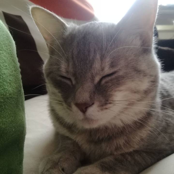 1b4e4d0b f145 46cf 808a 660a89acd7a1