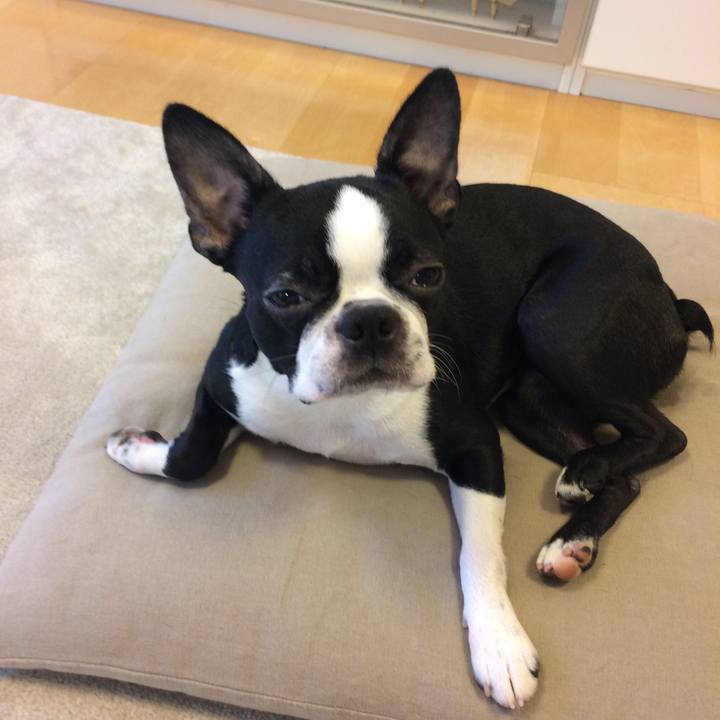 1b4e81fd 784a 45ee 80cd 649032e90baf