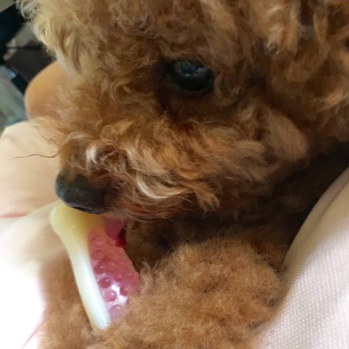 1b4f2e34 1117 4339 b8e1 c59968cc960b