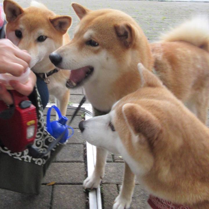 1b4f6803 ee21 4ff3 a4e1 f642b6902cec