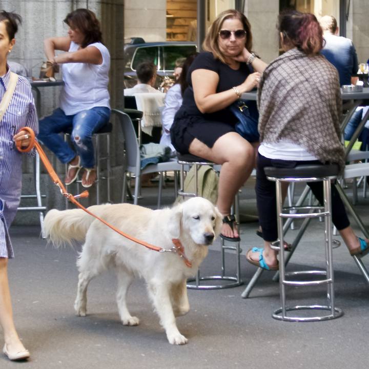 1b4f6b22 d906 40cc 94ca 98a95a239534