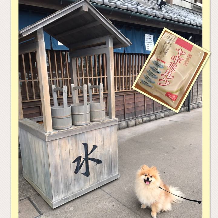 1b504056 5837 416b b34f 313182814059