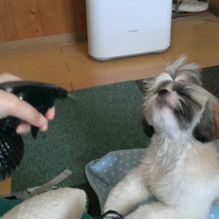 1b509847 3e04 45c9 9a5e eea041242e97