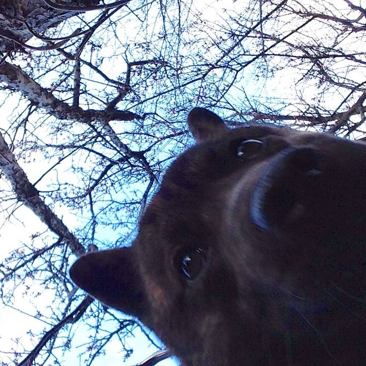 1b50e928 320e 465e a6c6 98343fd1a9c1