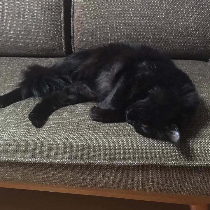 1b51323f 9204 4a7c 88bc 5e01e1faaf16