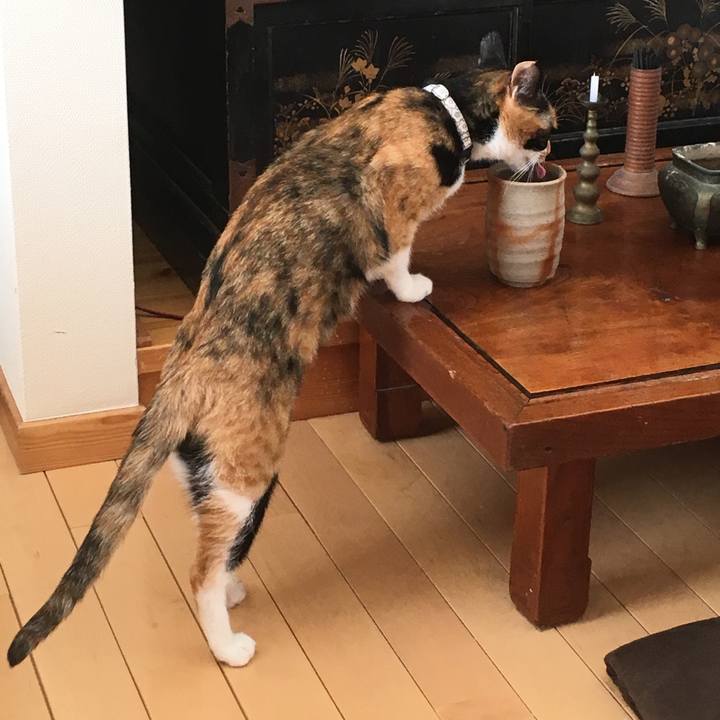 1b543911 b41e 4dd1 a2ab 6cb996cc487b