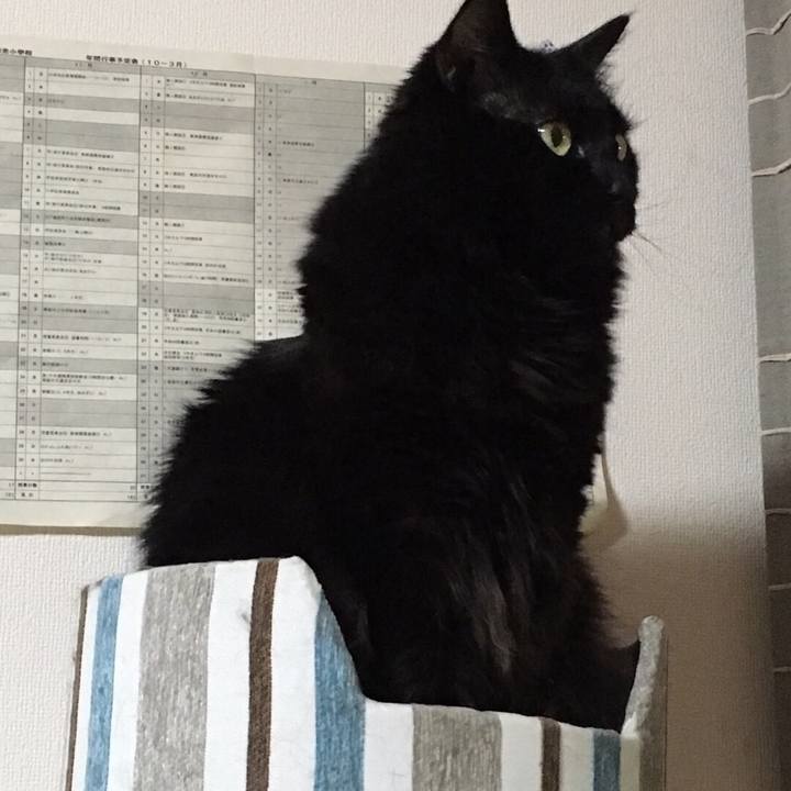 1b54627d d440 46b4 b705 04d73c2f3641