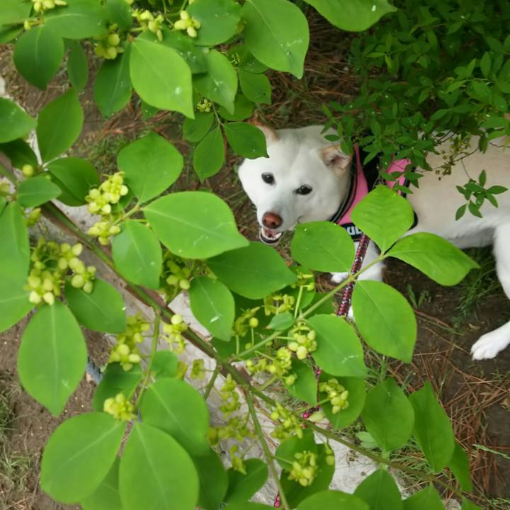 1b55119b bd56 4814 83fe 5f9e90de2ca6