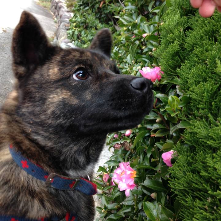 1b552c2a 5a1f 4a17 b5e5 cc56932c1a62