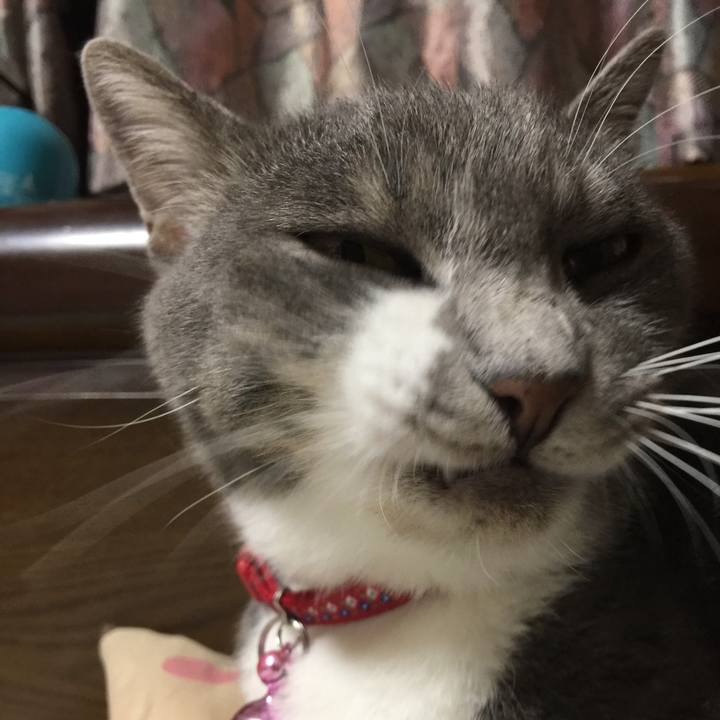 1b562fcb a02f 4f93 8e19 5495bed84d81