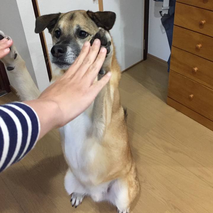 1b564312 0bb8 4366 957e a7859dbebf84