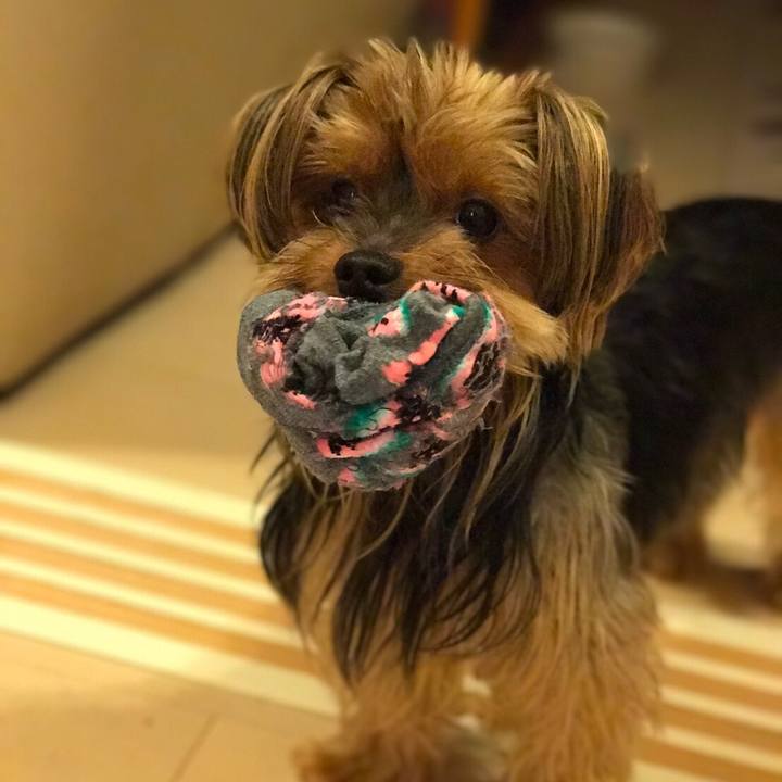 1b565162 0ea5 46b6 bb75 9fae20e36773