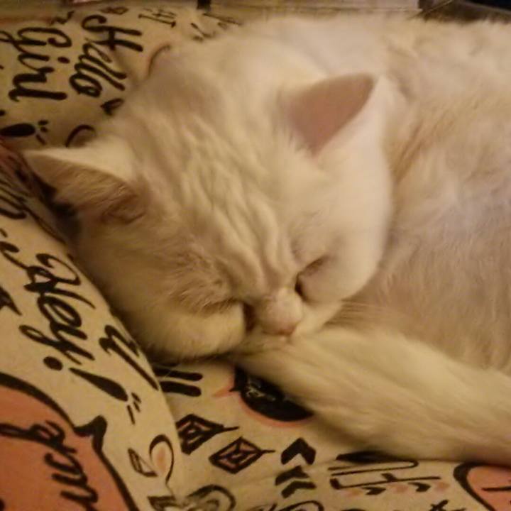 1b569743 9495 495d 8219 37eedd3e9614