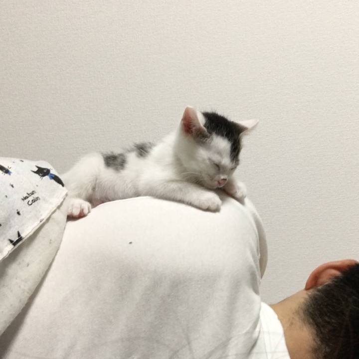 1b5785e1 d1c3 4cc7 bf2b 7d419ed00e21