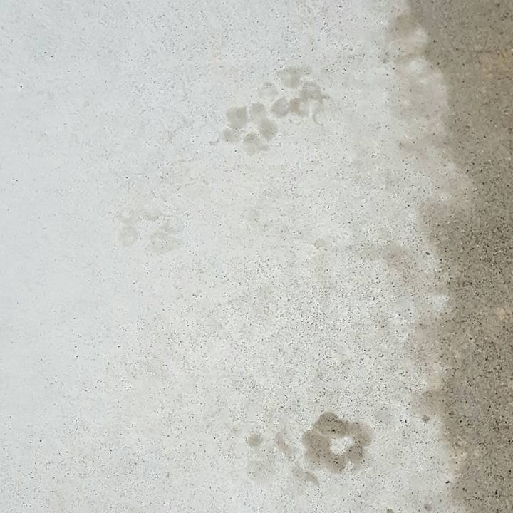 1b57a745 ed70 4b71 bec9 c7e40395a6cb