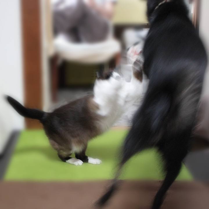 1b57fecc 1048 469a bed0 3baac2cf1910