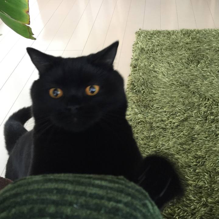 1b5810d3 8e94 4732 b9c5 32f4a8bc92d3