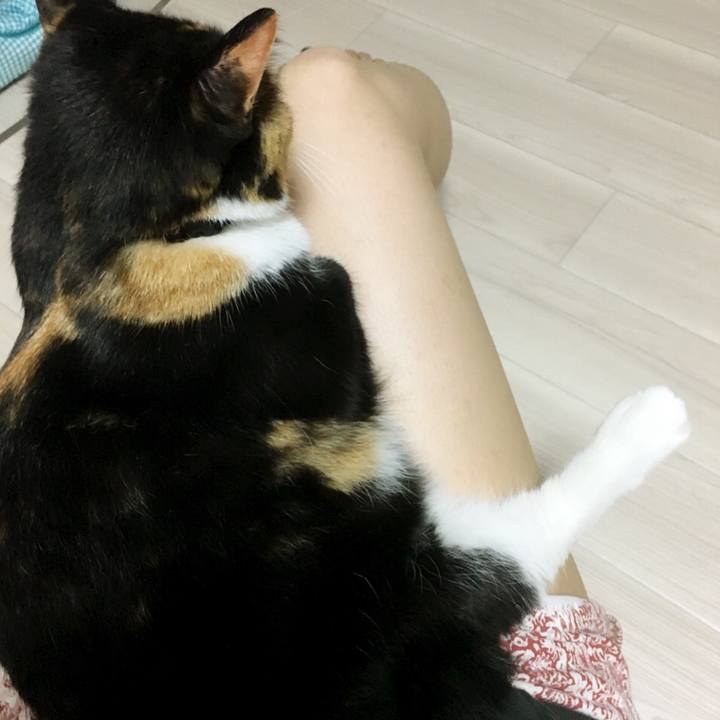 1b581f5f e5d4 400c bff6 08f8117d37fe