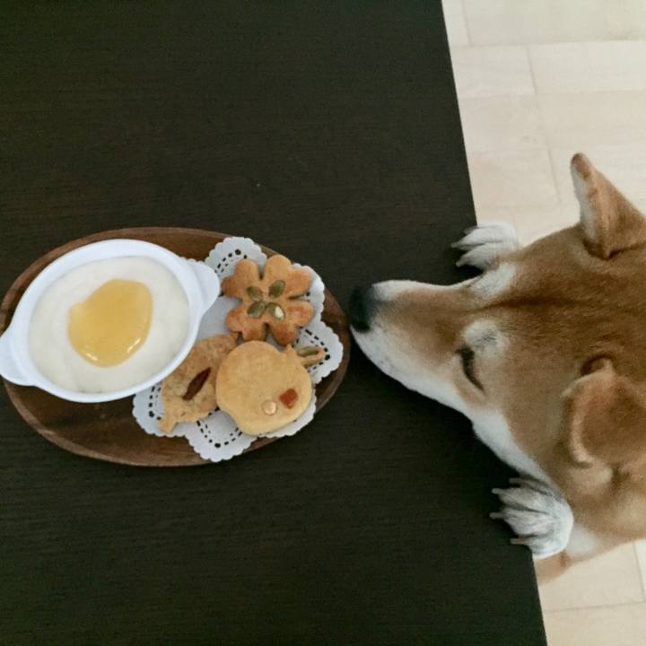 1b5855f0 9789 4013 83bb 1a93367b440c