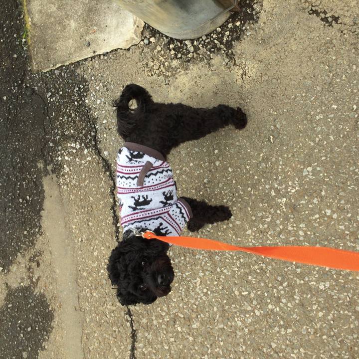 1b58906b baa6 41d9 b9c5 917b2e570b7a