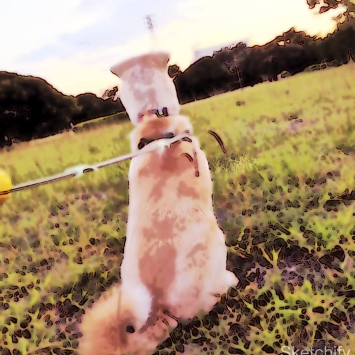 1b58b548 b351 4343 8570 393d7ff45783