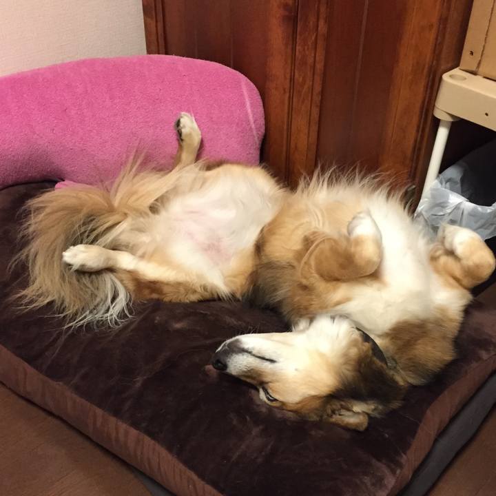 1b58bf65 0266 4d17 b3e2 34ec9890980d