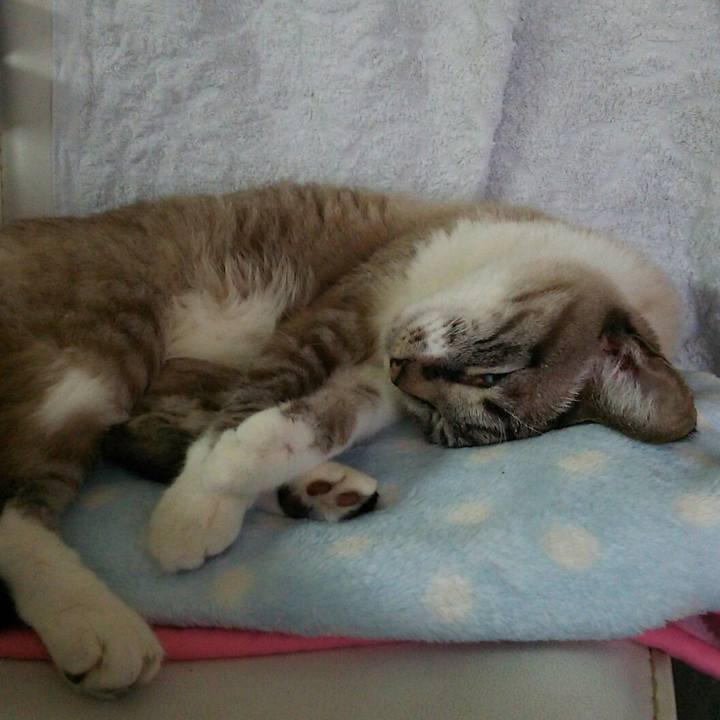 1b58ccc8 952a 44d3 9d8a 9ccb2fd3ca56