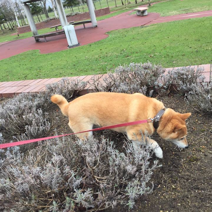 1b58ec2f 537e 4d00 8fa1 e11fe7ea62ee