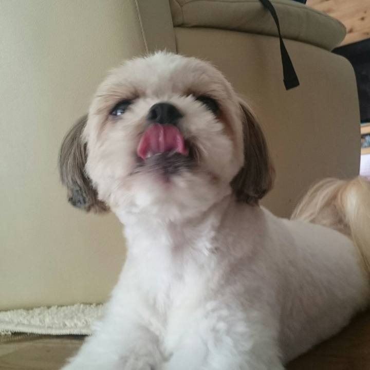 1b591f25 6287 4f7f 872a 40fea0fce86f