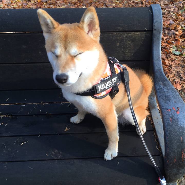 1b596a81 3fa0 4233 ba98 378f06fcfdb8