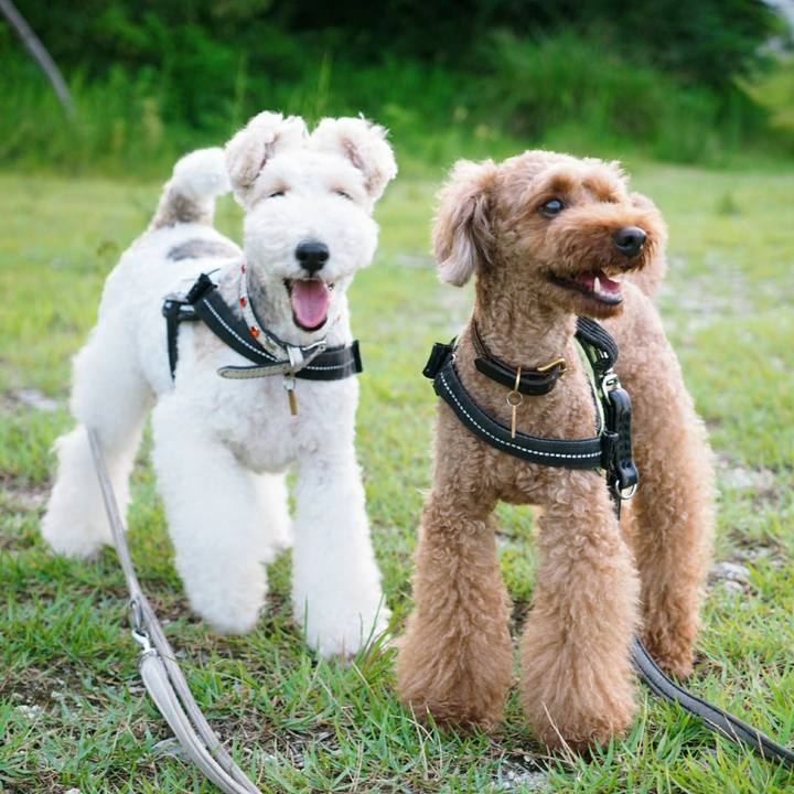 1b59748e 0c21 4401 906d 7768bd3de724