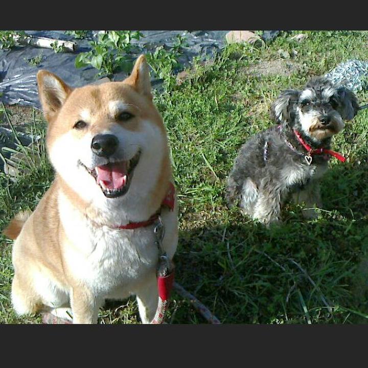 1b59ca71 bd44 424d a715 9feff4929502